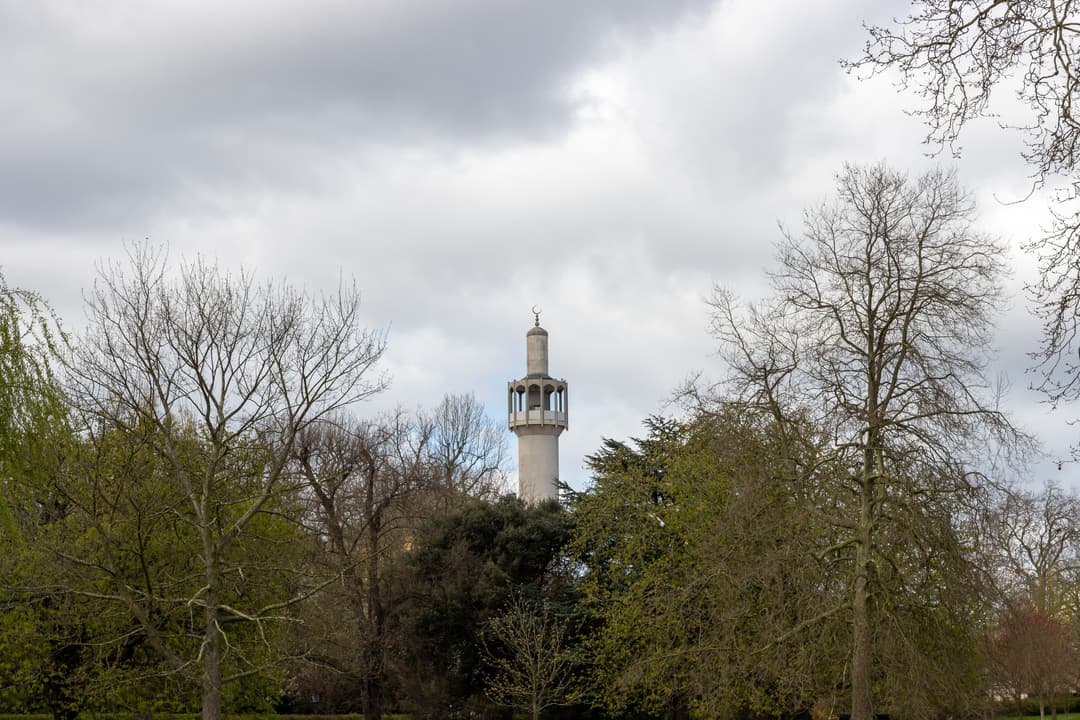 View of the London Central Mosque minaret rising above Regent's Park trees.