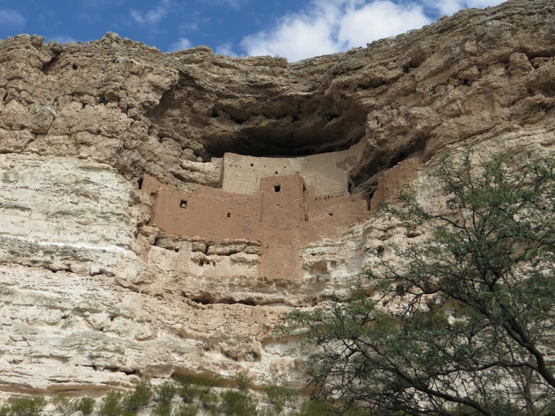 Low-angle view of Montezuma Castle cliff dwelling in a limestone alcove.