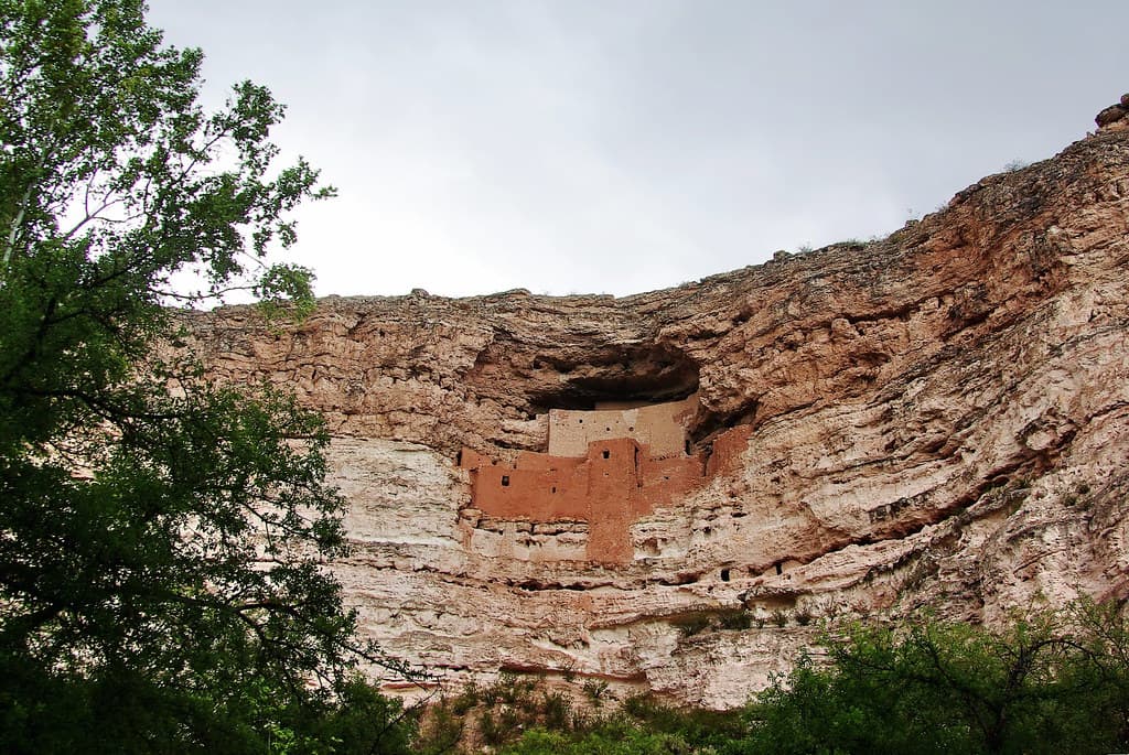Low-angle view of Montezuma Castle cliff dwelling framed by trees.