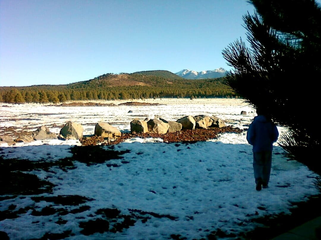 Snowy landscape looking toward the distant San Francisco Peaks.