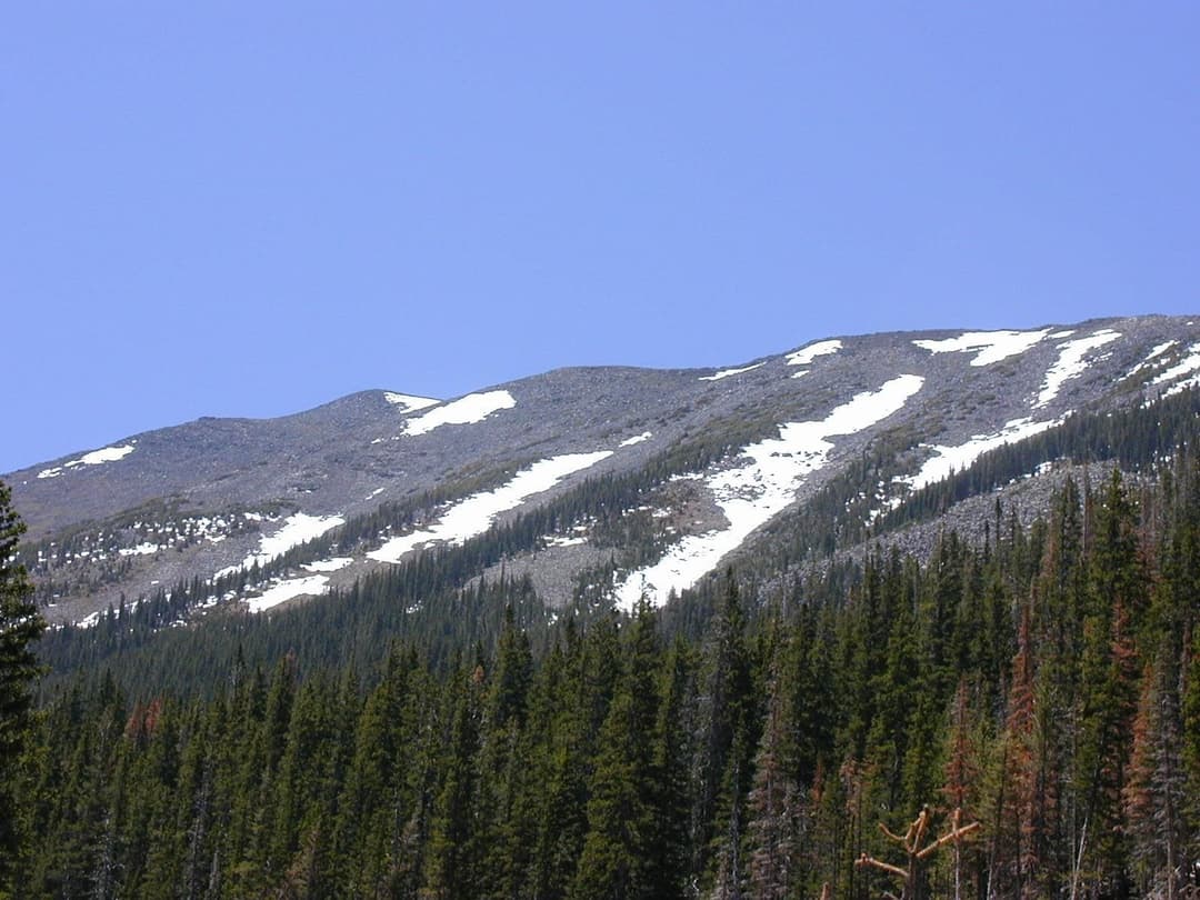 Low-angle view of snow-dusted mountain slopes above pine forest in daylight.