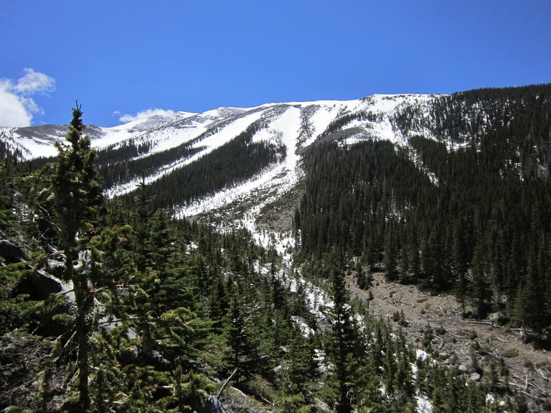Wide-angle view of snow-dusted mountain slopes and pine forest in daylight.