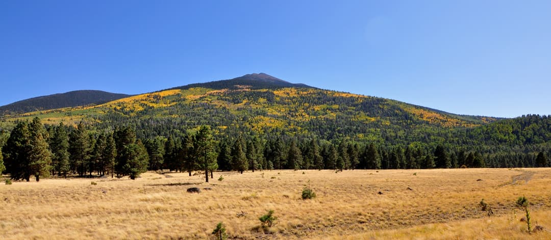 Wide landscape view of San Francisco Peaks with golden autumn aspens.