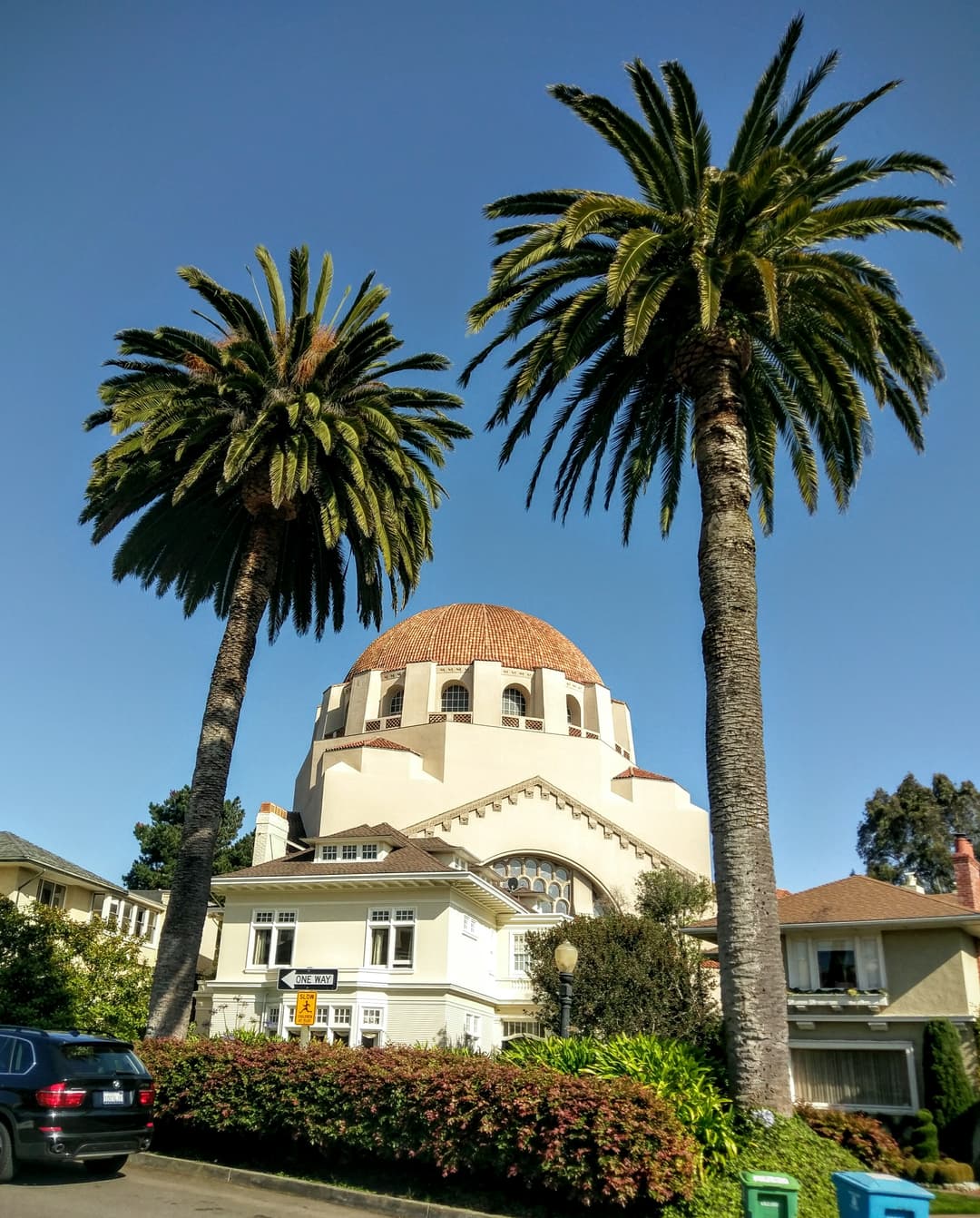 Exterior view of the dome framed by two tall palm trees