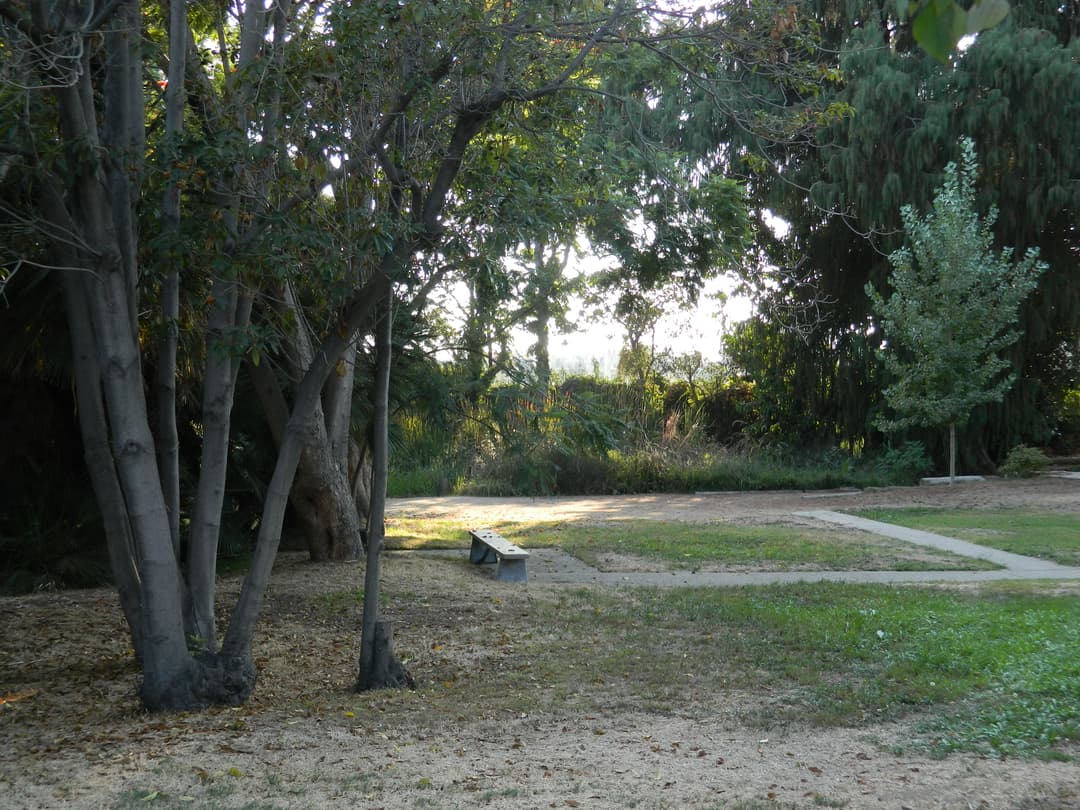 Shaded park grounds with a stone bench under mature trees.