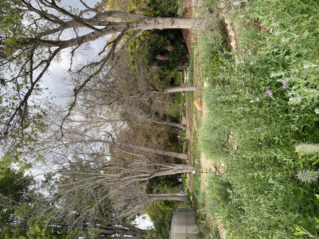 Daytime grounds view of native plant gardens and mature trees.