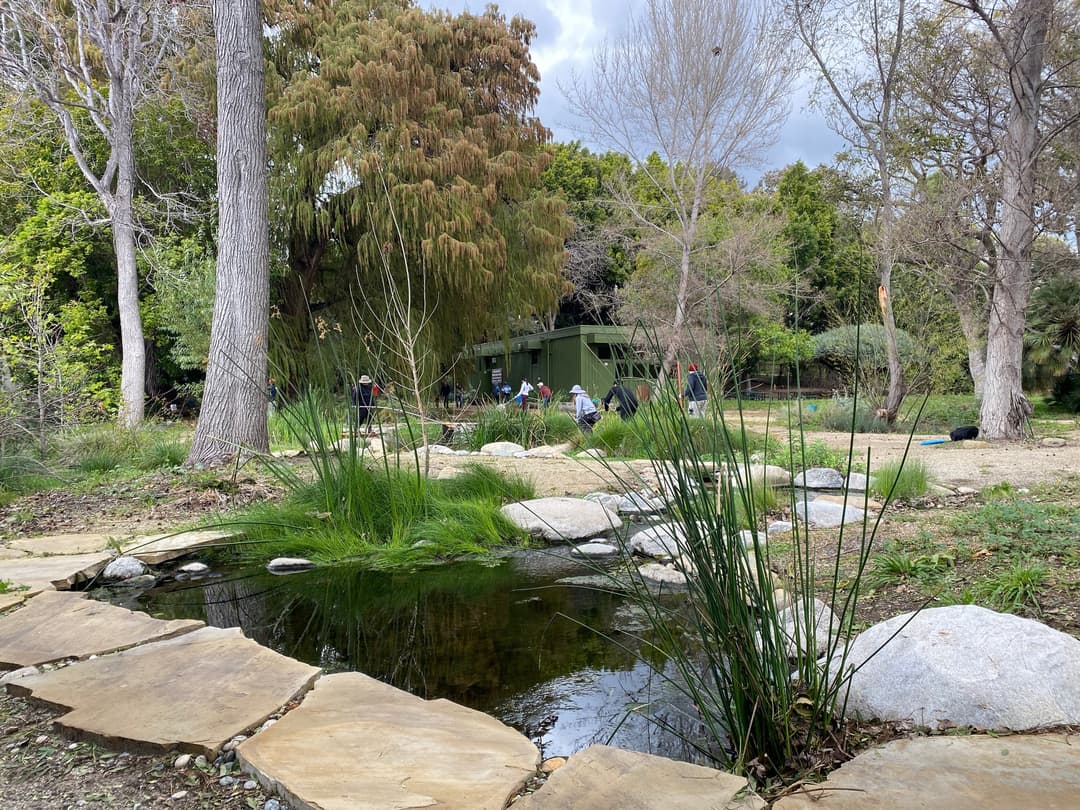 Daytime view of the natural spring basin and native garden grounds.