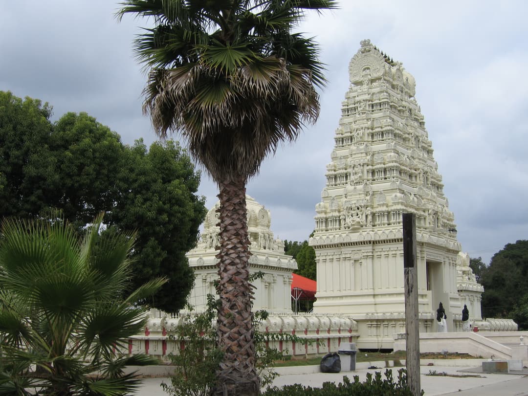 White gopuram tower framed by palm trees under an overcast sky.