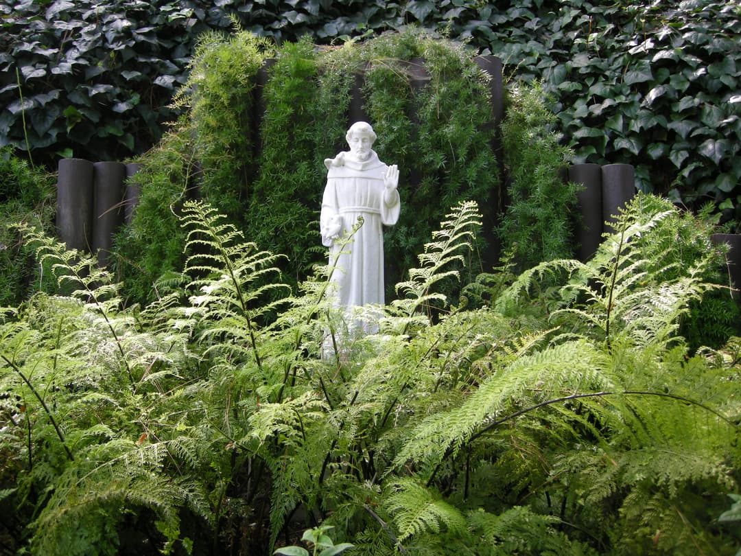 Statue of St. Francis of Assisi surrounded by lush ferns in the garden.