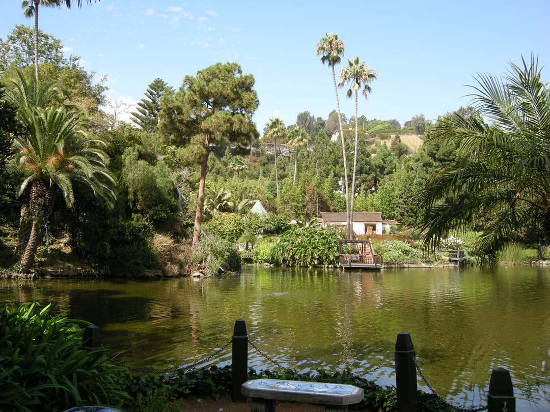 Wide-angle view across the lake toward the hillside meditation gardens.