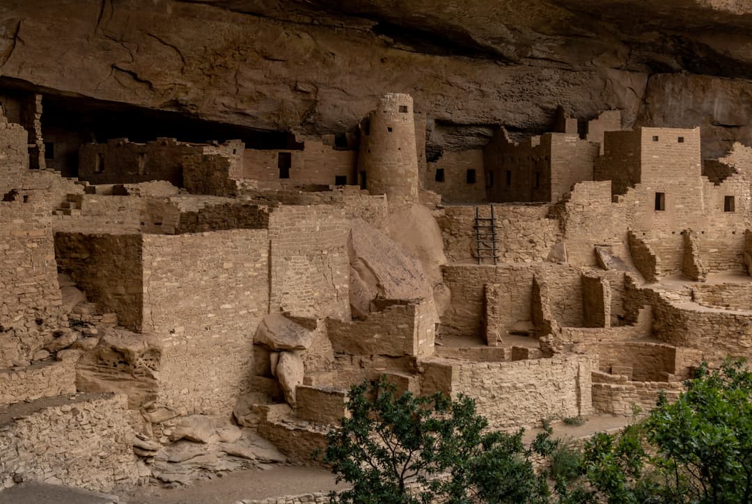 Central view of Cliff Palace showing the masonry round tower and ladder.