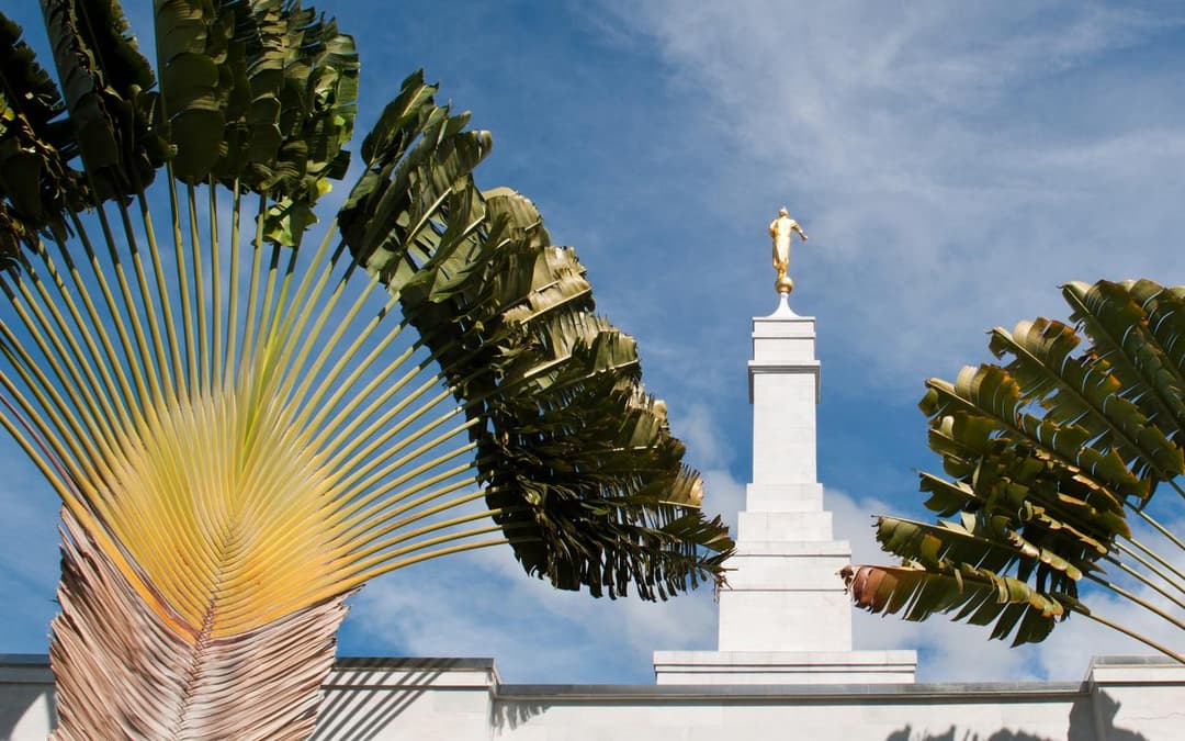 The temple's serene setting provides a peaceful atmosphere for worship.