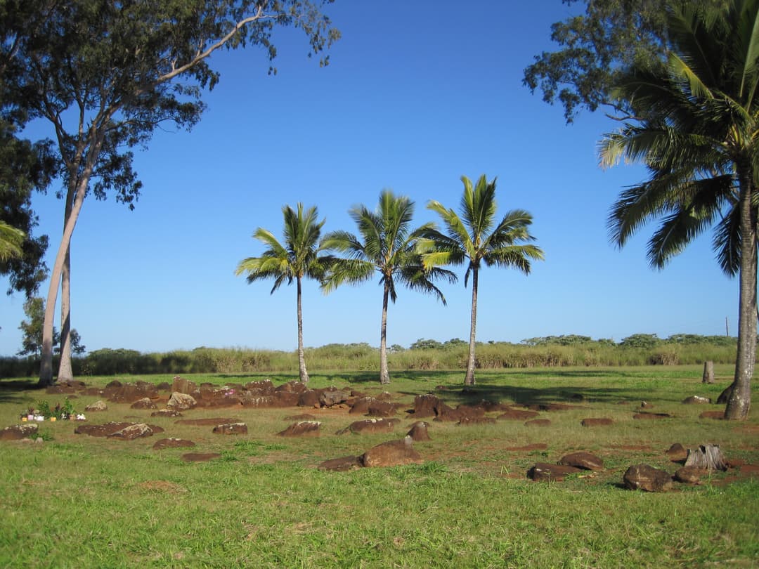 Grounds view of basalt birthstones and palm trees under a clear sky.