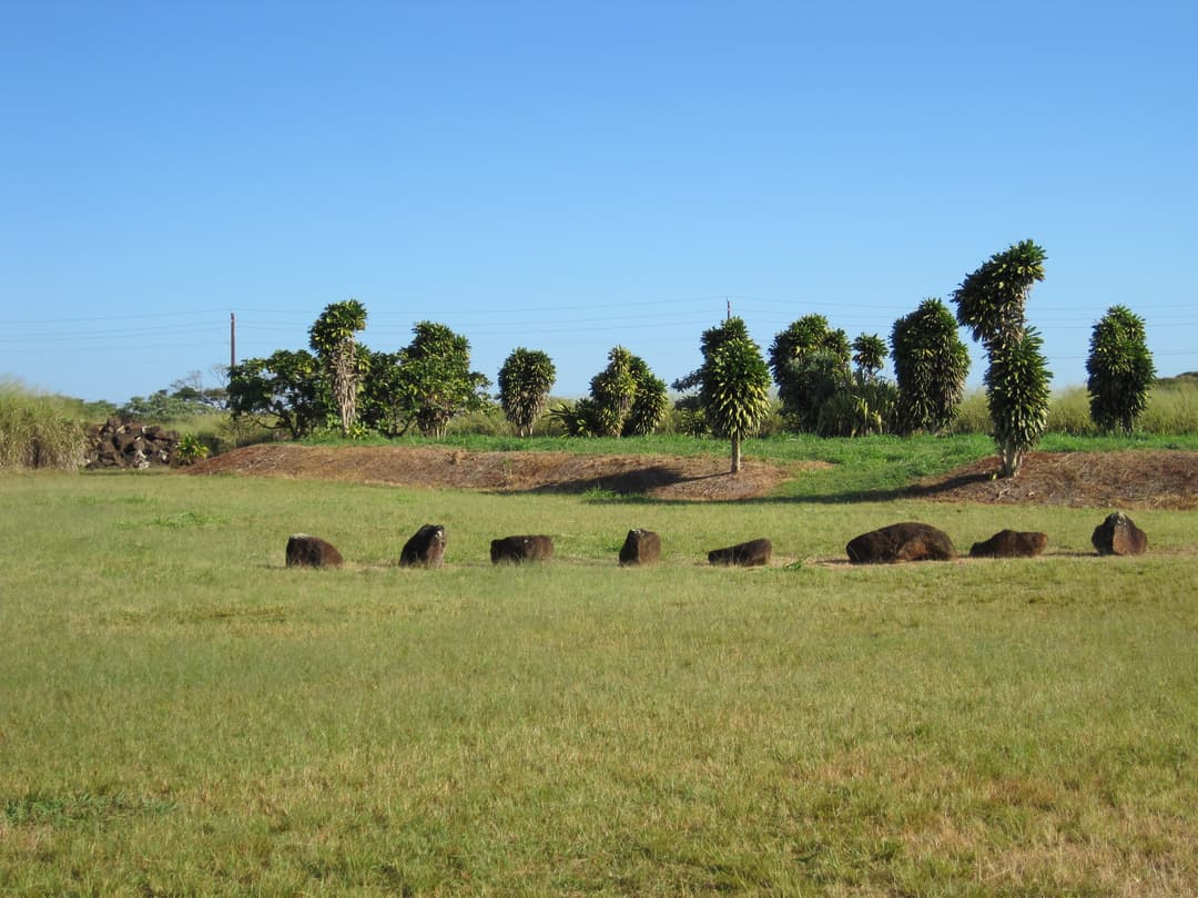 Wide view of sacred basalt stones set in a grassy field under clear skies.