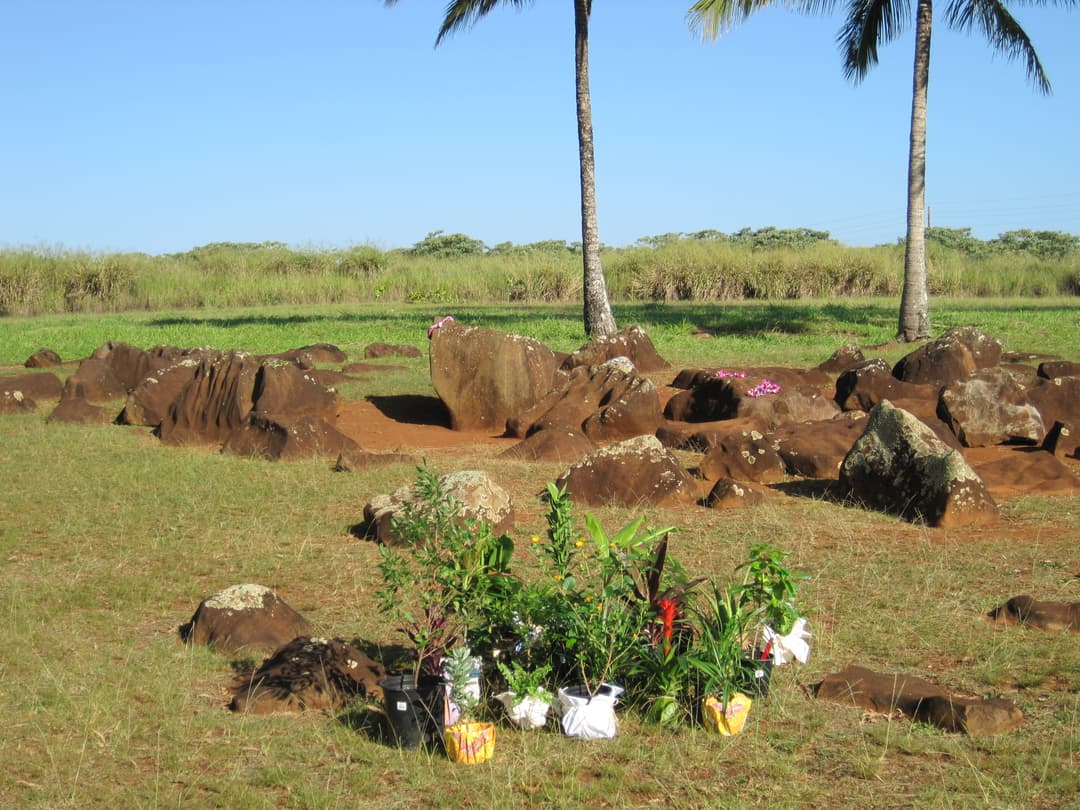 Grounds view of basalt birthstones and palm trees in full sunlight.