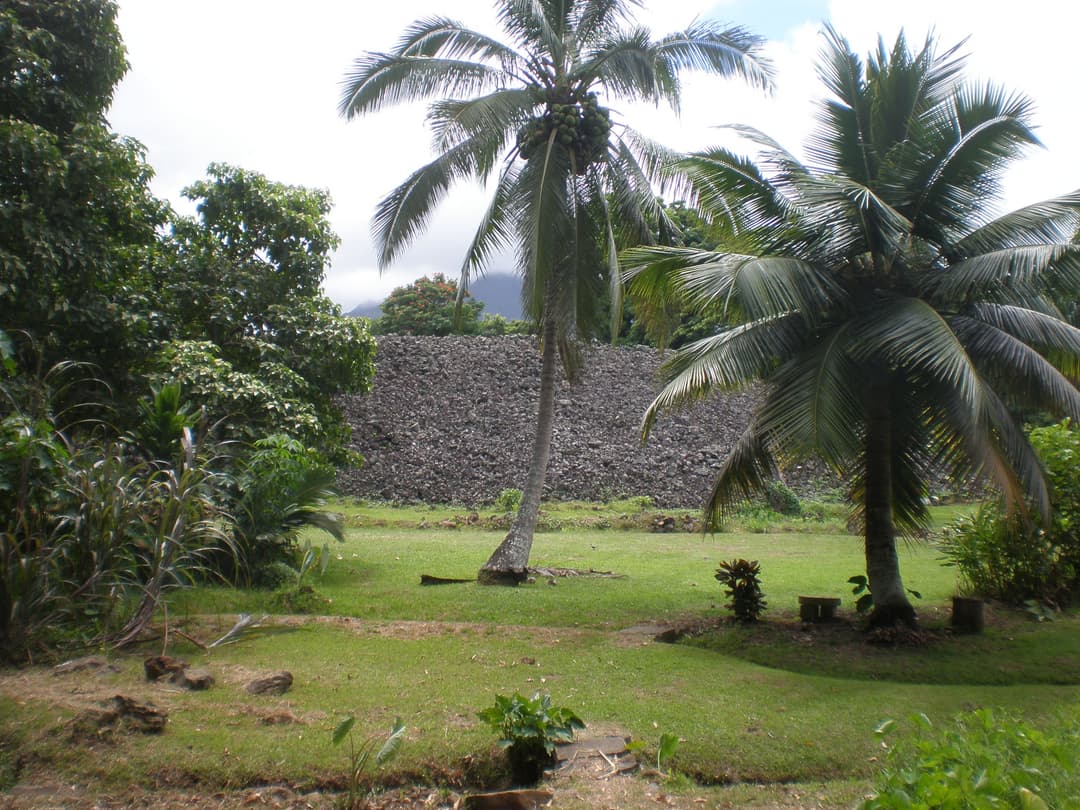 Grounds view of the massive dry-stone platform wall framed by palm trees.