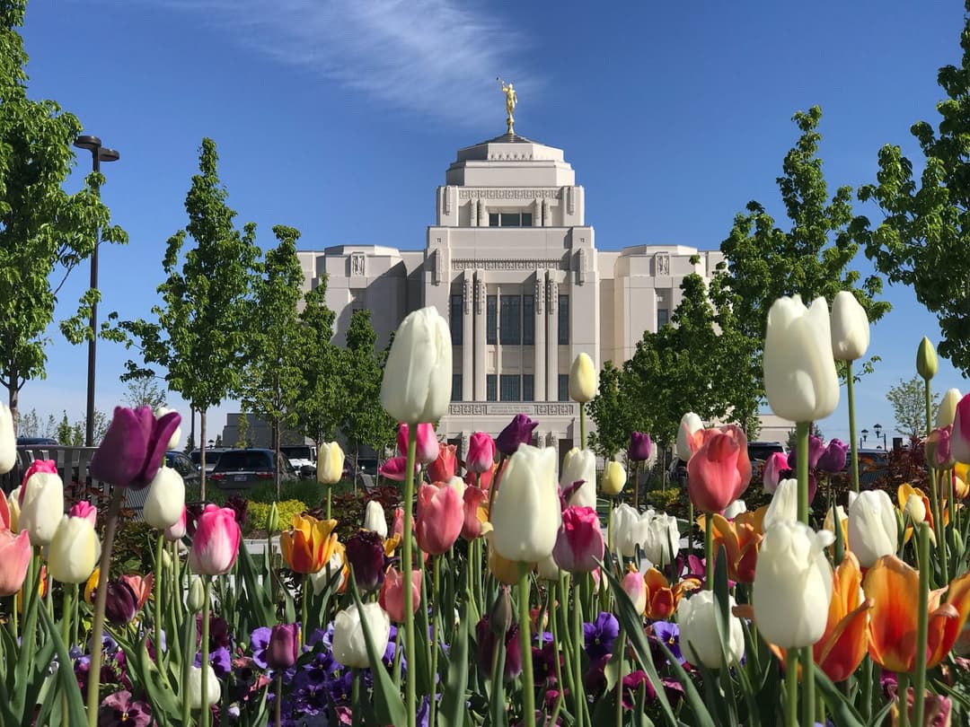 Daytime view of Meridian Idaho Temple with blooming tulips and Angel Moroni.