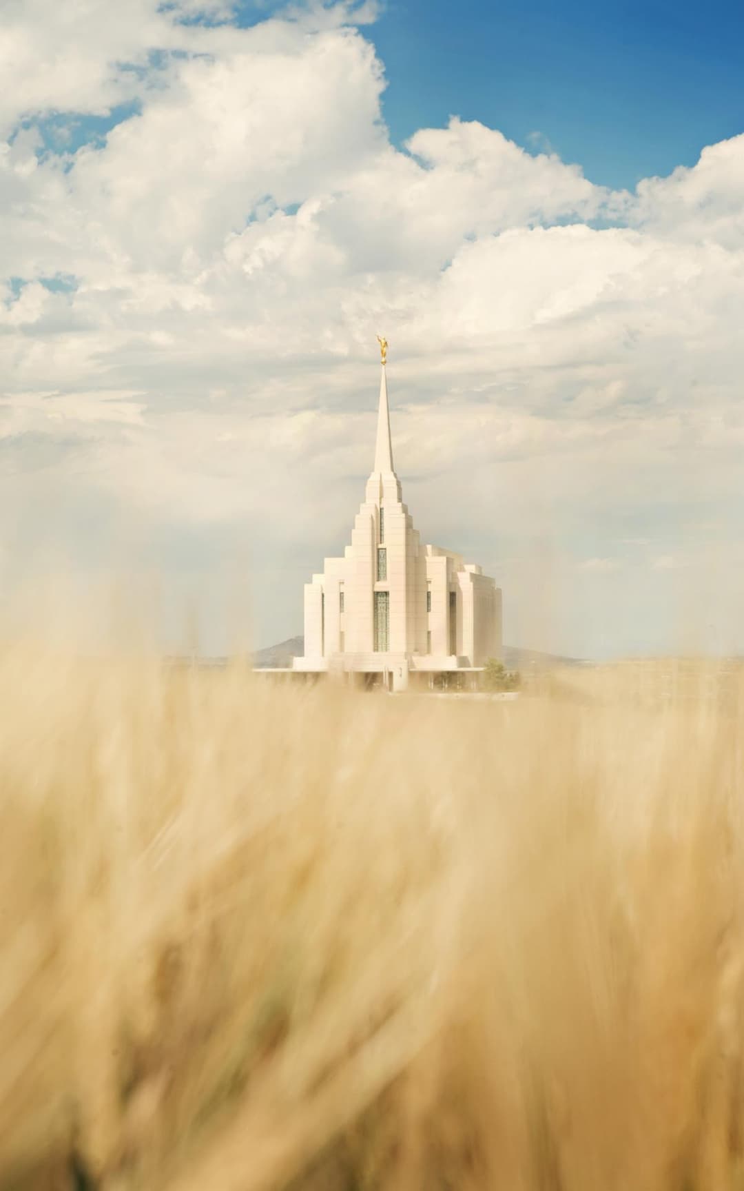 Rexburg Idaho Temple, Angel Moroni, golden wheat foreground, daytime.