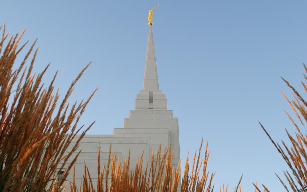 Rexburg Idaho Temple spire and Angel Moroni framed by golden grasses at sunset.