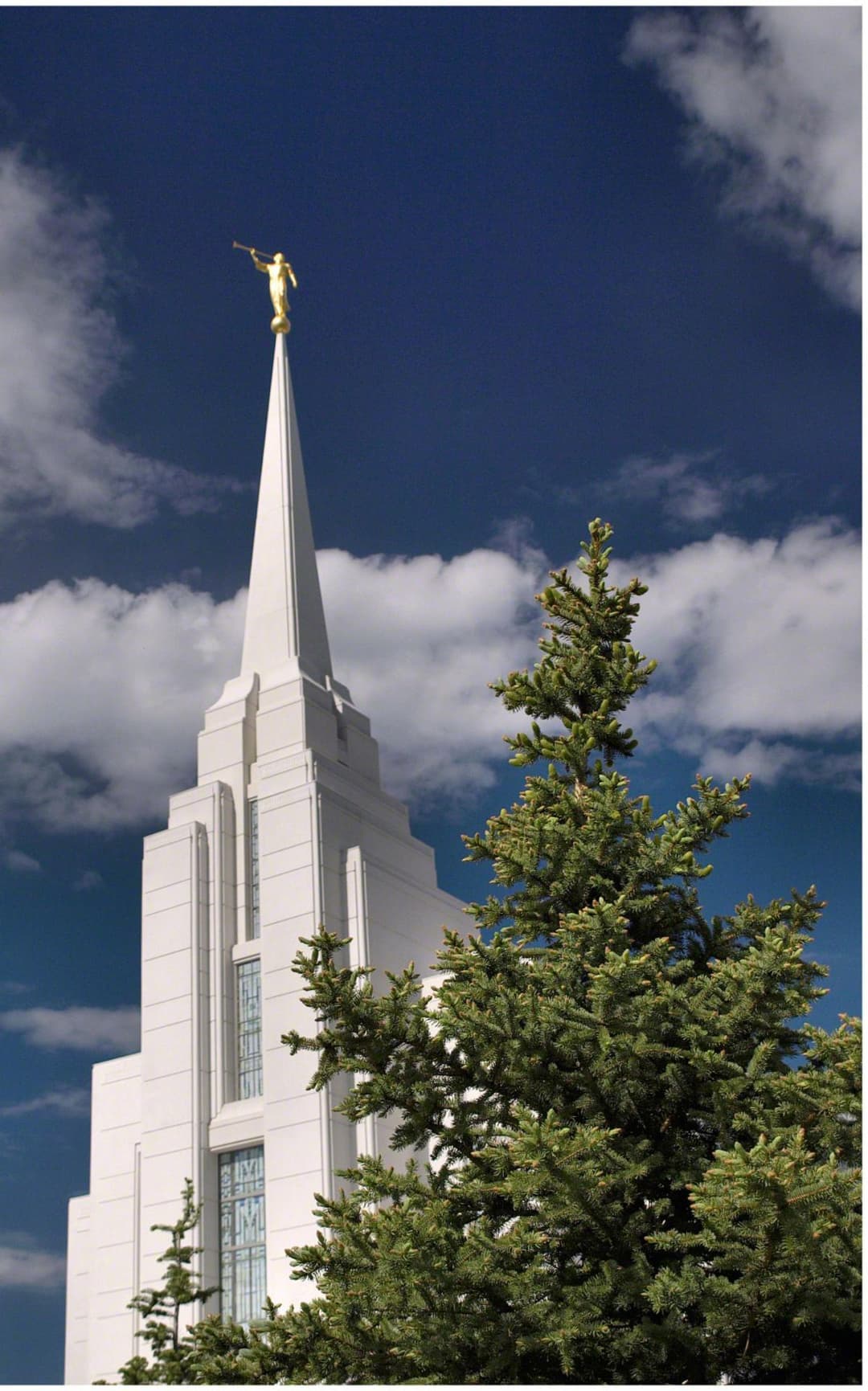 Upward view of Rexburg Idaho Temple spire, Angel Moroni, and evergreen tree.