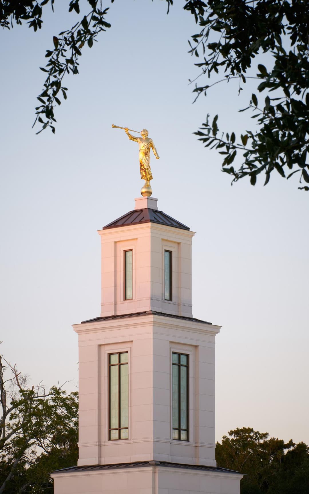 A close-up of the light beige limestone cladding and custom art glass windows.