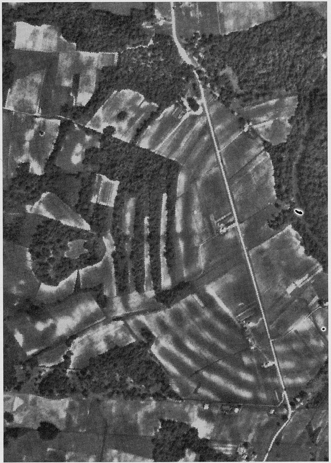 Aerial view of the concentric earthen ridges at Poverty Point Earthworks.