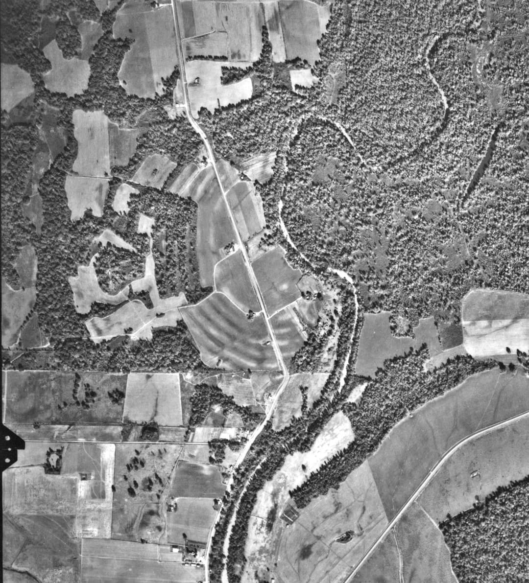 Aerial view of the concentric earthwork ridges at Poverty Point.