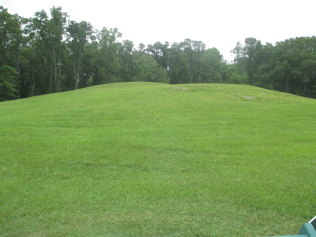Ground-level view of a grassy earthen mound sloping up toward a tree line.