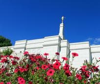 Vibrant red flowers frame the temple spire against a clear blue sky.