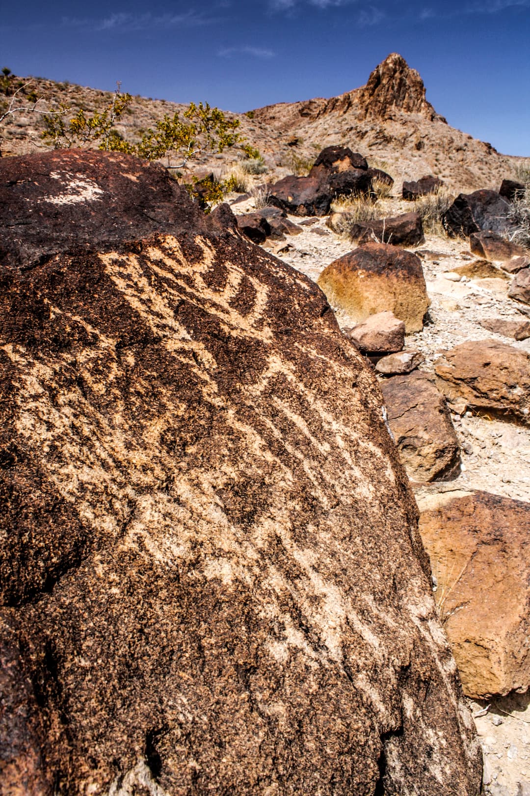 Petroglyphs on a desert varnish boulder with a rocky peak in the distance.