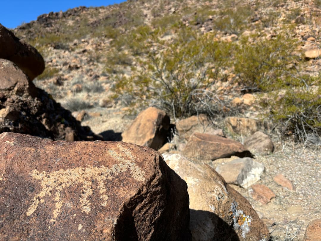 Close-up of an animal petroglyph on a volcanic boulder in daylight.