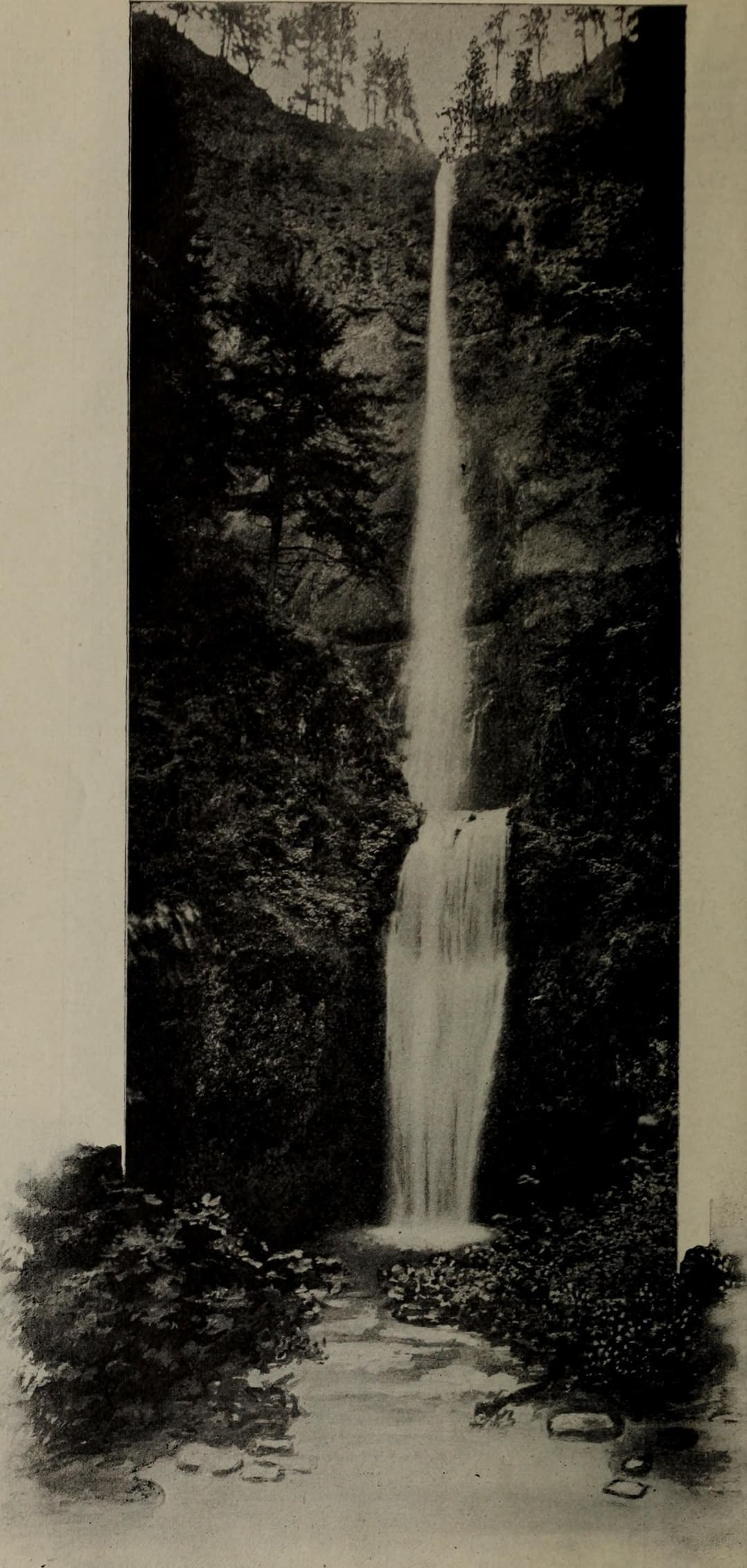 Historic vertical view of the two-tiered Multnomah Falls.
