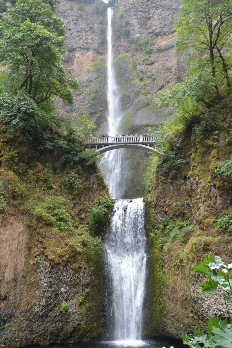 Eye-level front view of two-tiered Multnomah Falls and Benson Footbridge.