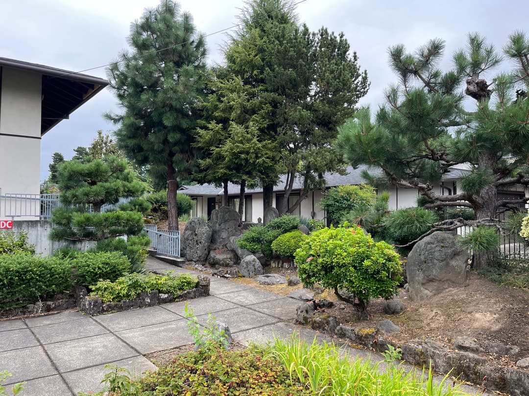 Japanese garden grounds and stone walkway at Oregon Buddhist Temple.