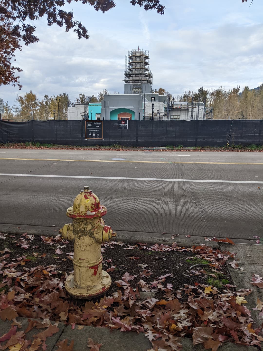 Temple construction and scaffolded spire viewed from across the street