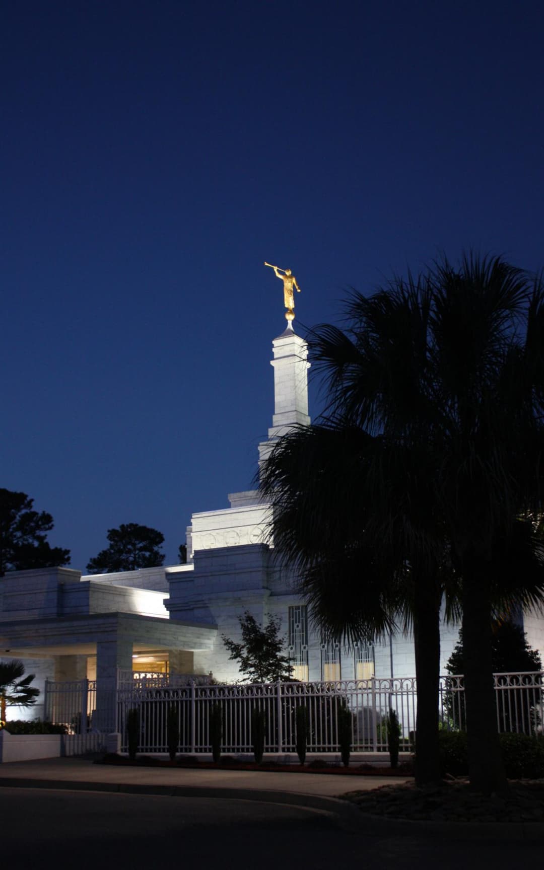 Columbia South Carolina Temple spire framed by palm trees at twilight.