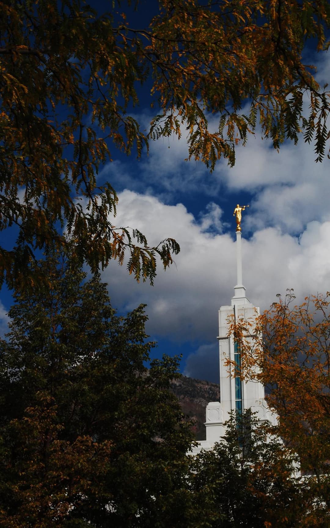 Mount Timpanogos Utah Temple spire framed by autumn foliage.