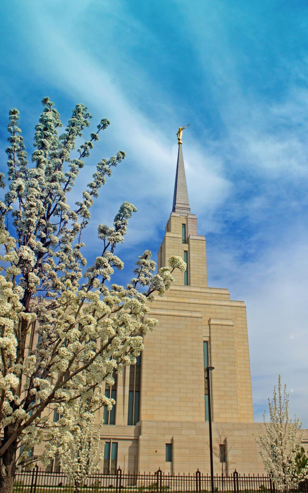Spring blossoms frame the spire of the Oquirrh Mountain Utah Temple.