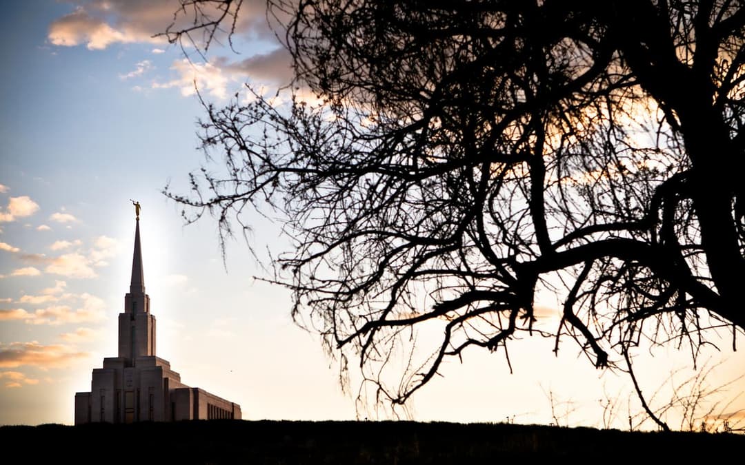 Oquirrh Mountain Utah Temple framed by tree branches at sunset.