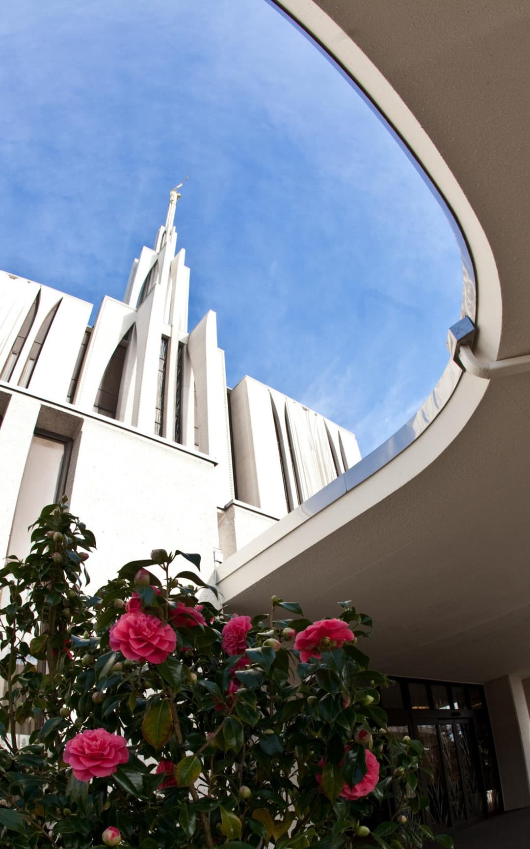 The Seattle Washington Temple at dusk.