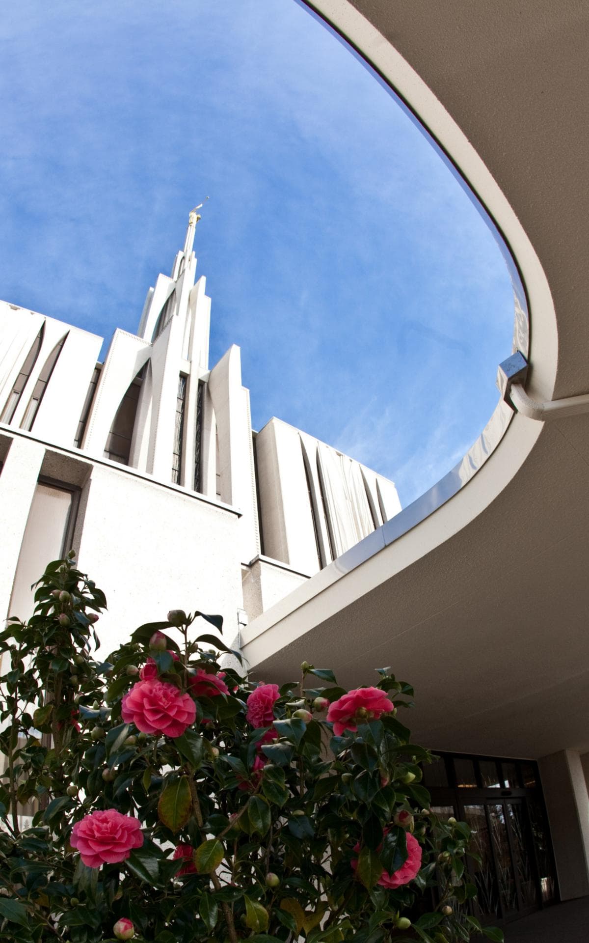 Seattle Washington Temple | Temples.org