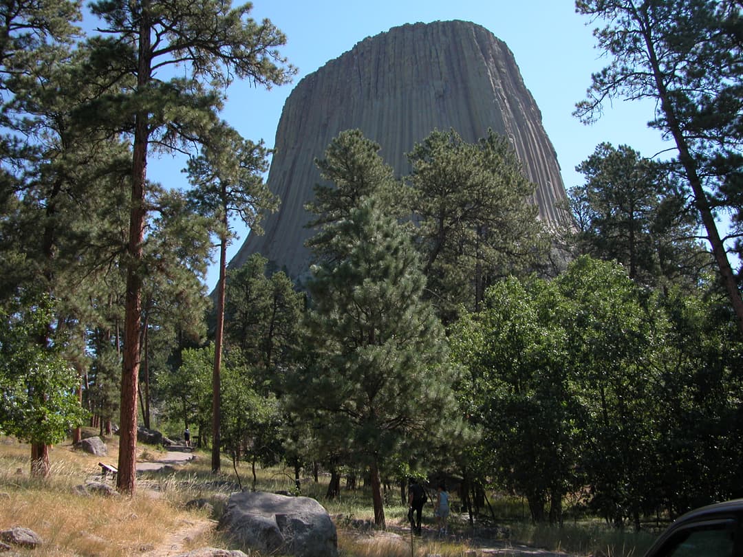 View of Devils Tower rising above pine trees along the hiking trail.
