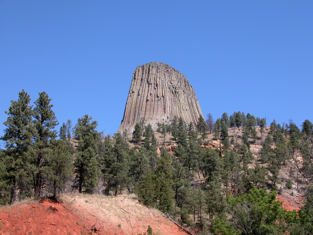 Devils Tower rising above pine-covered slopes under a clear blue sky.