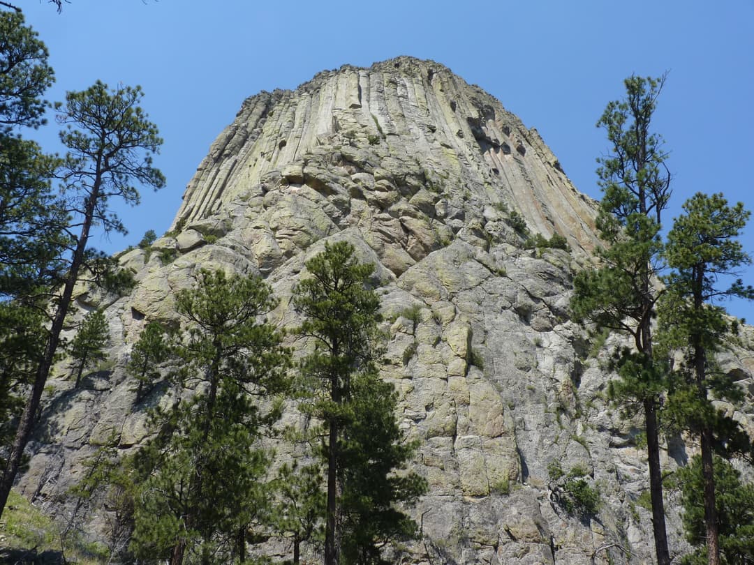 Low-angle view of the columnar rock face of Devils Tower framed by pines.