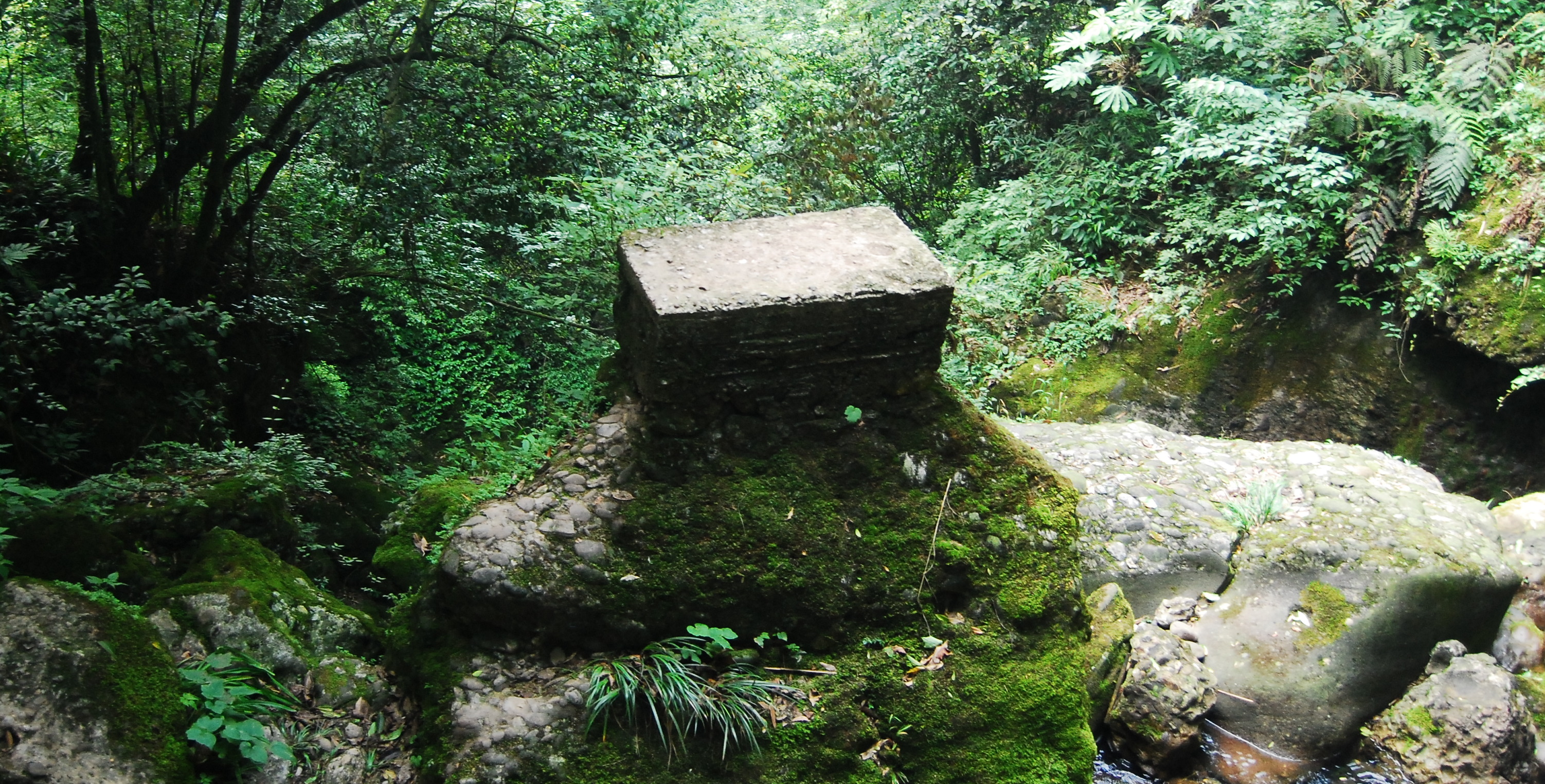 Mount Qingcheng's lush greenery and serene atmosphere.