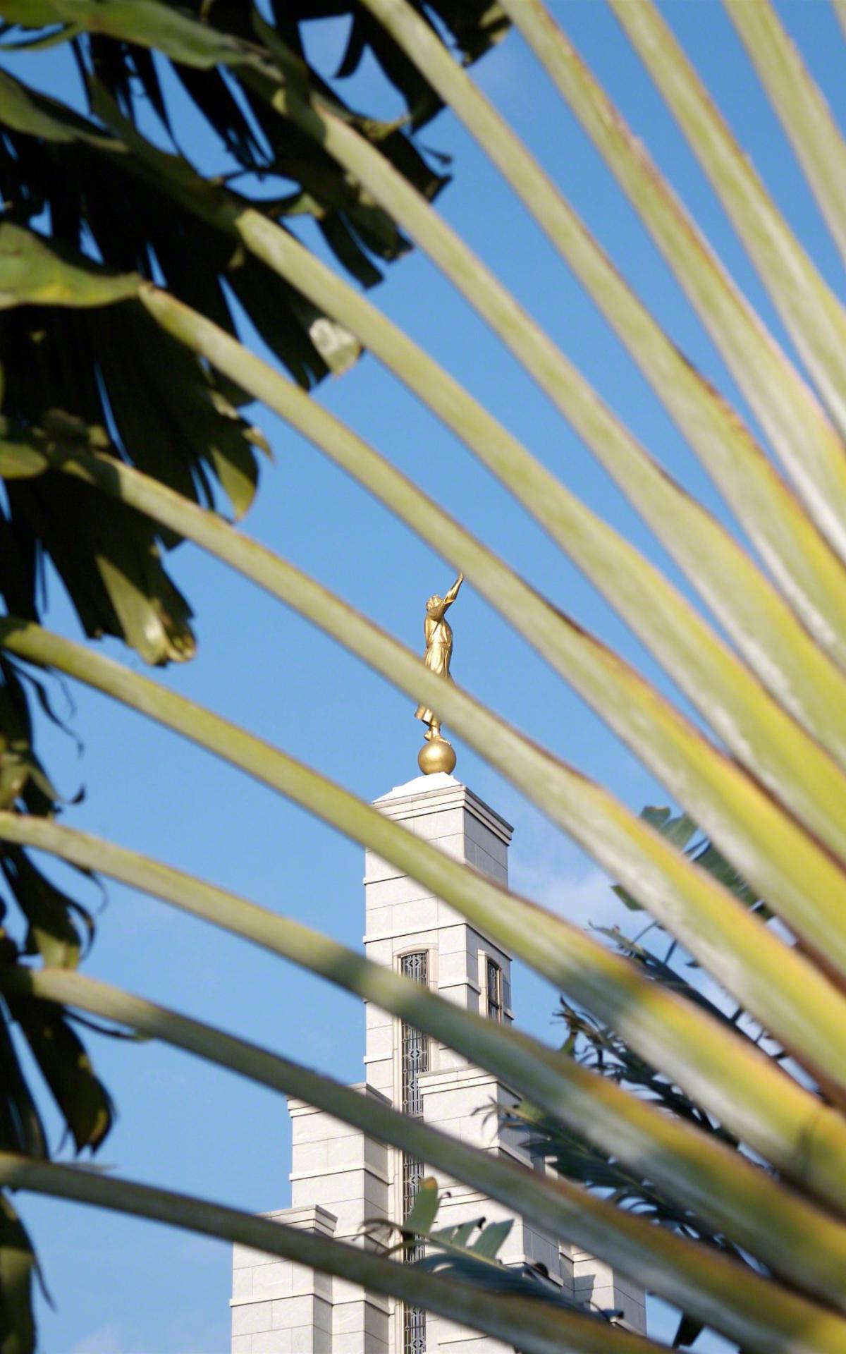 Accra Ghana Temple Entrance