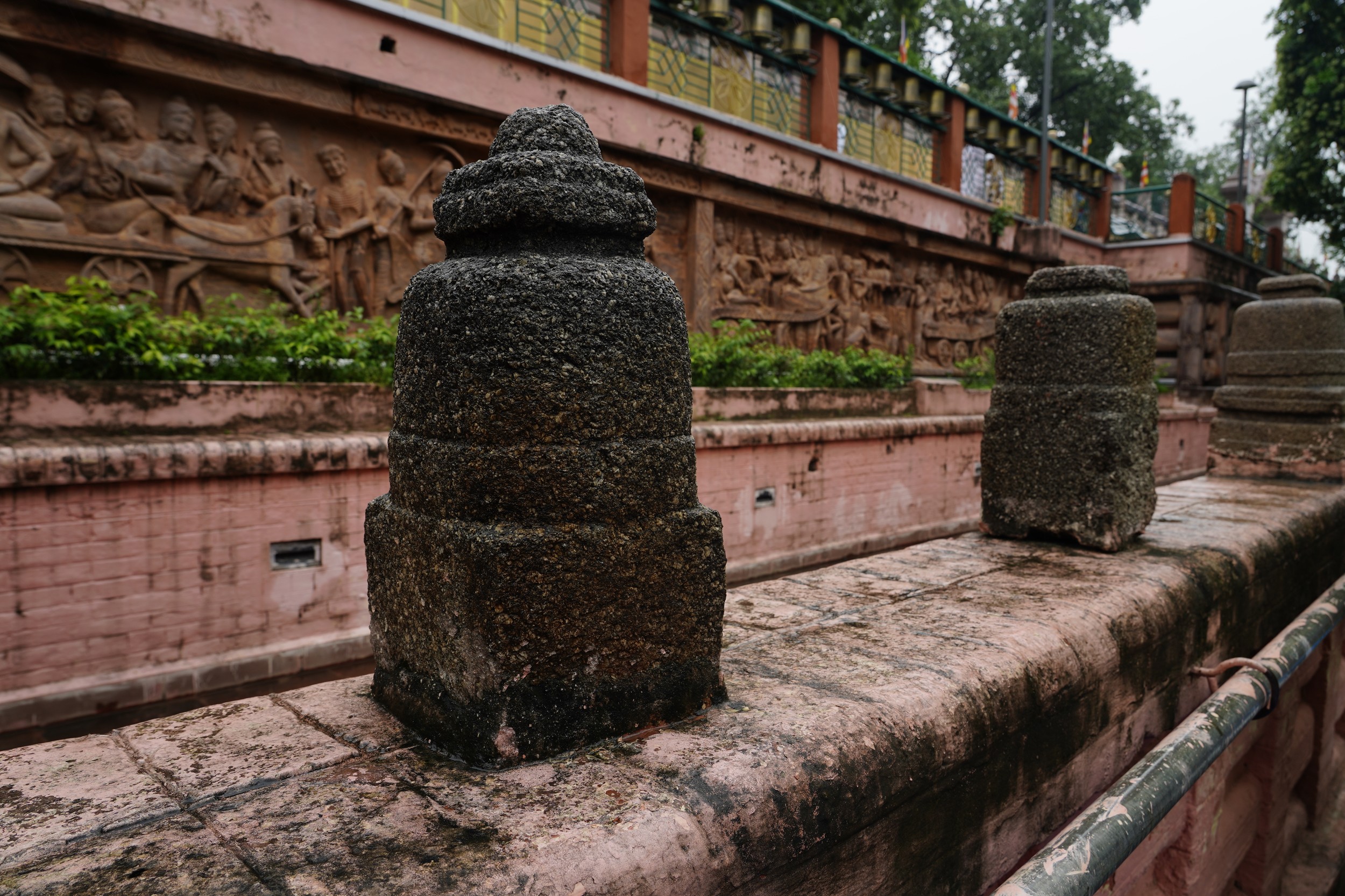 A close-up of the Bodhi Tree, revered by Buddhists worldwide.