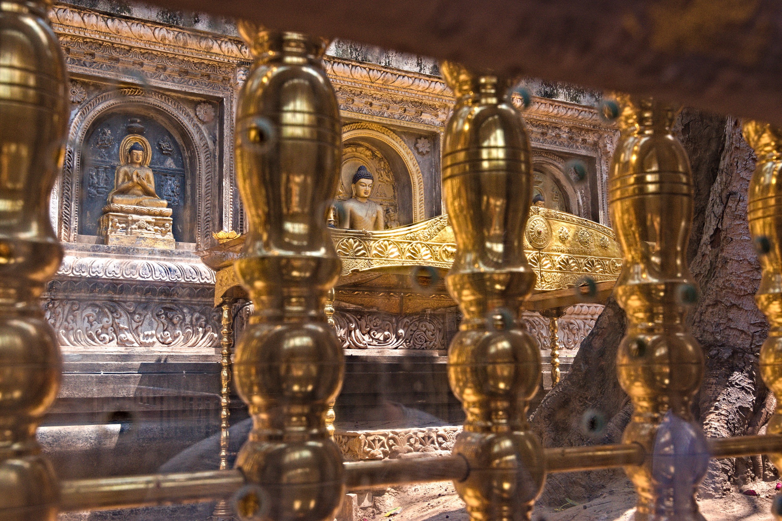 Monks meditating at the Mahabodhi Temple