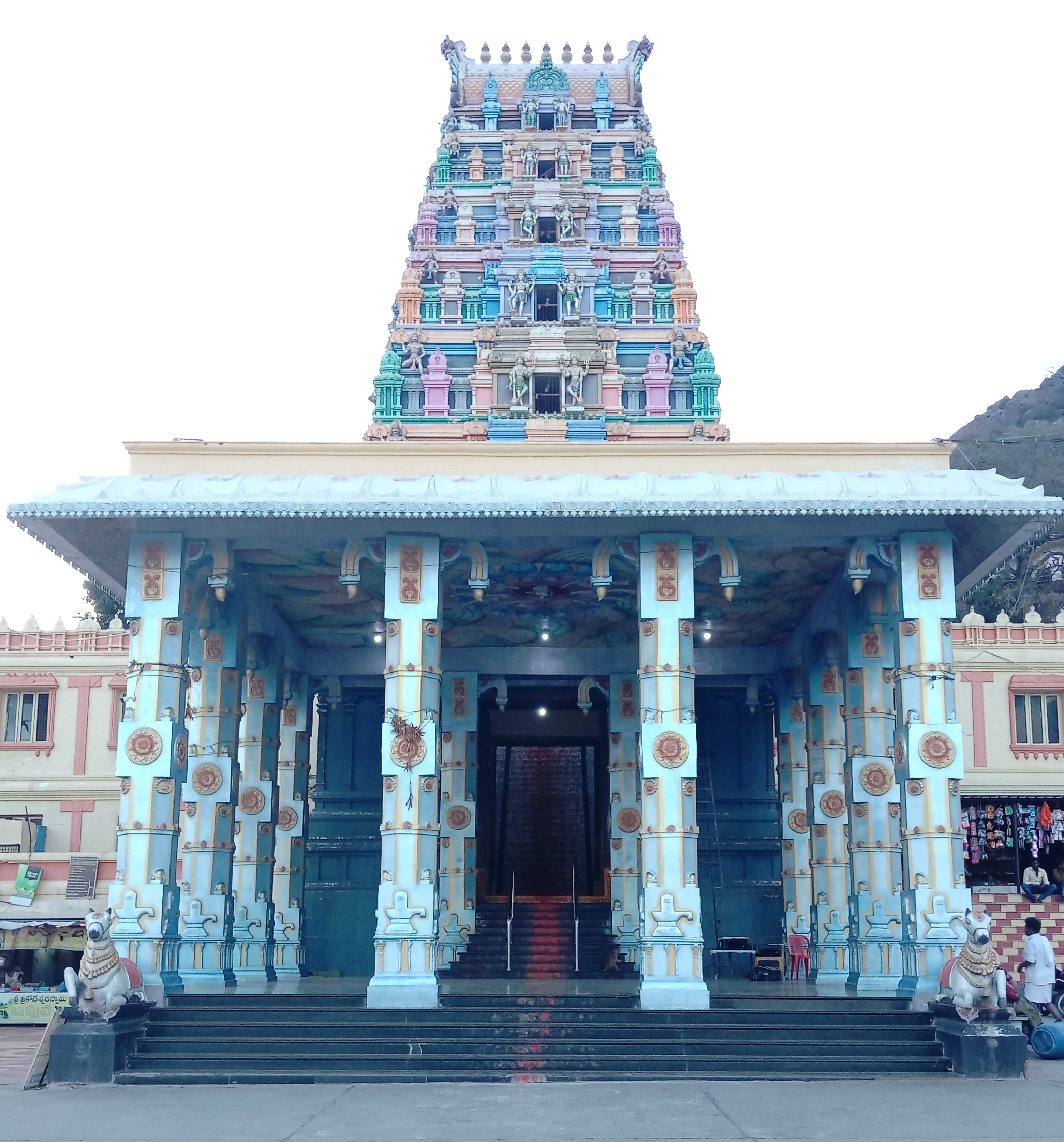 Devotees queueing for darshan at the temple entrance.