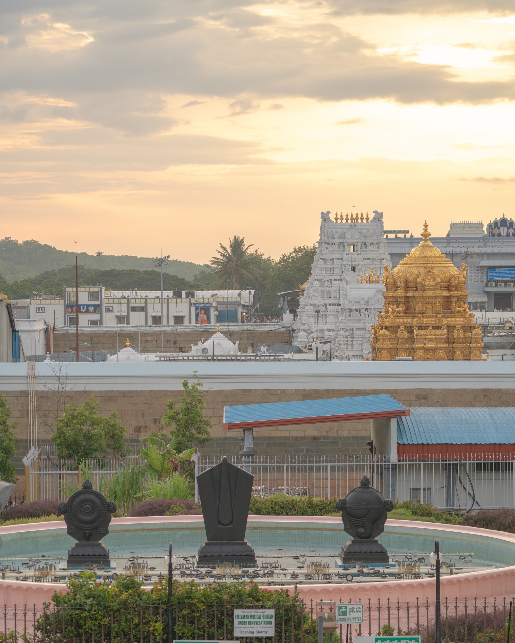 The serene environment of the Seshachalam Hills.